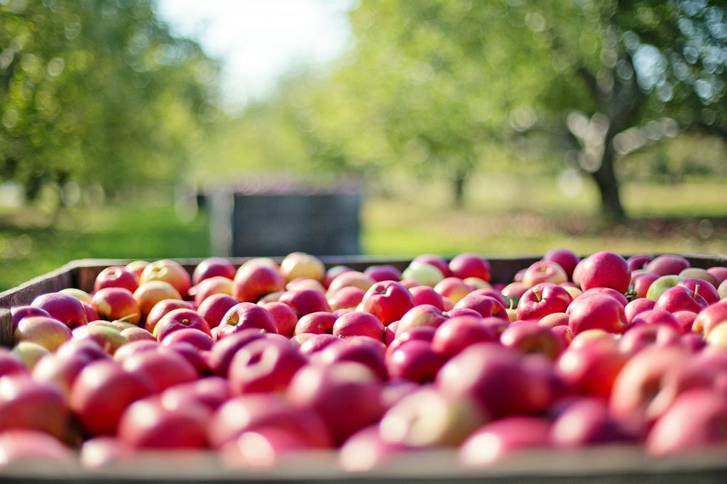 come aprire un'azienda agricola