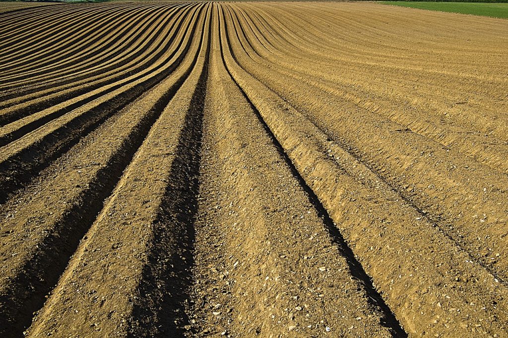 quanto terreno serve per diventare imprenditore agricolo