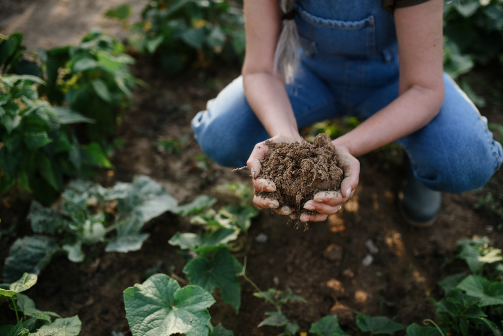 Quali sono i vantaggi degli incentivi per l'imprenditoria femminile e giovanile nell'agricoltura