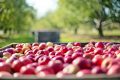 come aprire un'azienda agricola